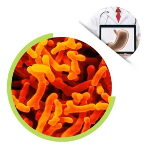 Quality Probiotics Powder Bifidobacterium Lactis Freeze-dried Probiotics Powder For Digestive Health thumbnail-1