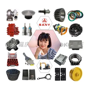 SANY Excavator Parts Catalogue Genuine OEM Spare Parts Supplier From China SANY Vs Caterpillar Comparison thumbnail-1