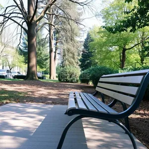 Park Bench thumbnail-2