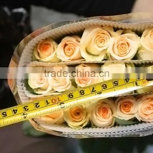 High Quality Promotional Champagne Color Rose Flowers thumbnail-1