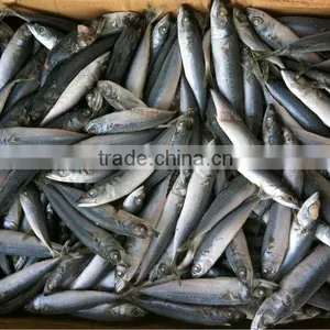 NEW LANDING FROZEN FISH PACIFIC MACKEREL SEA FROZEN 400-600G thumbnail-5