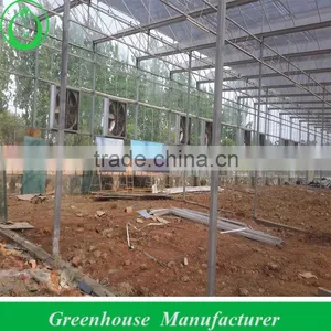 Multi Span Polycarbonate Sheet Commercial Greenhouse thumbnail-1