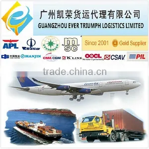 Freight Forwarder Shipping Company From China to France thumbnail-2