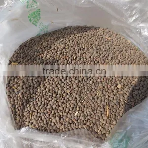 Red Lentil Processing Machine for Sale thumbnail-4