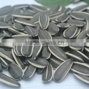 Sun Flower Seeds Kernel Bakery and Confectionary thumbnail-2