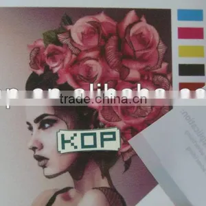 Translucent Vinyl Specially for Light Box Usage thumbnail-1