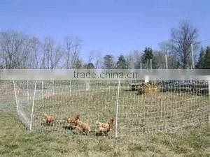 Factory Price Plastic Poultry Netting/Animal Fence thumbnail-2