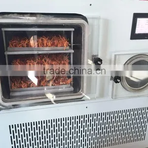 Maca Freeze Dryer thumbnail-4