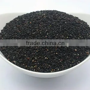 Dry-Roasted Black Sesame thumbnail-1