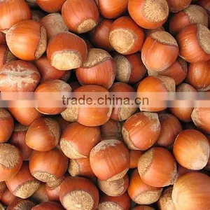 100% Organic and Natural Hazelnuts thumbnail-3
