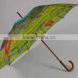 23 Inches Wooden Handle Special Umbrella thumbnail-3