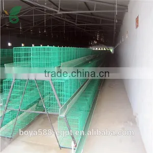 Full Automatic or Semi Automatic Layer Rearing Cages for Pullets thumbnail-2