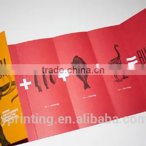Cheap Boolet Printing Brochure Printing A4 Flyer Printing thumbnail-5
