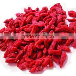 Nutrient-dense Goji Berry thumbnail-1