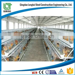 Cheap Broiler Poultry Farm House thumbnail-6