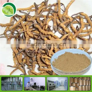 100% Natural Cordyceps Extract Powder thumbnail-1