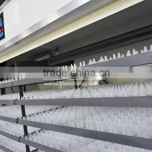 Special Offer Industrial Used Poultry Incubator for Sale thumbnail-5