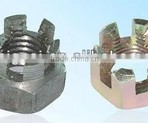 Hex Slotted Nuts thumbnail-1