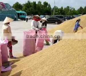 VIETNAM WHITE RICE LONG GRAIN 15% BROKEN thumbnail-3