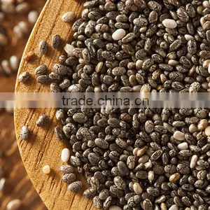 SALVIA HISPANICA SEED thumbnail-5