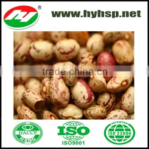 Kidney Beans thumbnail-1
