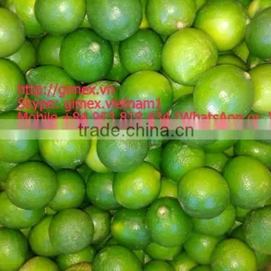 FRESH SEEDLESS LIME thumbnail-5
