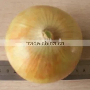 2015 Crop Fresh Yellow Onions With Market Price thumbnail-2