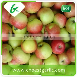 Fruit Market Prices Fresh Sweet Royal Gala Apple thumbnail-1