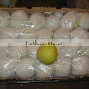 2015 Fresh Shandong Pear Supplying in China thumbnail-2