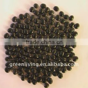 Black Beans Kidney With Lowest Price thumbnail-1