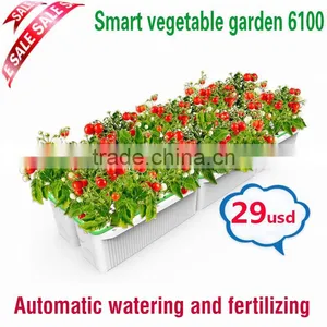 Wholesale Hanging Green Plants for Pots Hanging on the Wall thumbnail-1