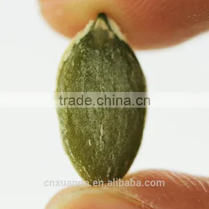 China White Pumpkin Seeds Price thumbnail-5