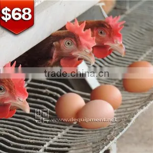 TA NO.1 Factory Battery Poultry Layer Cage for Nigeria thumbnail-1