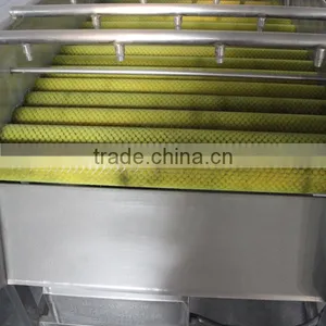 Hot Sale Super Quality Roller Type Strawberry Washing Machine thumbnail-1
