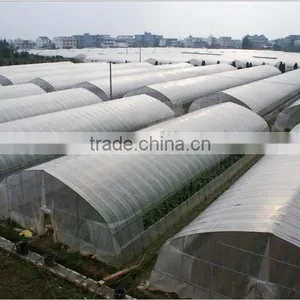 New Style Agricultural Greenhouse for Grawing Vegetables thumbnail-1