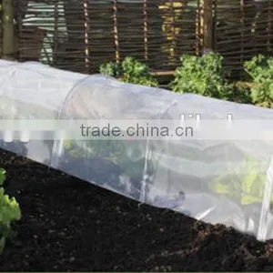 Tunnel Growhouse and Multi Cloche thumbnail-1