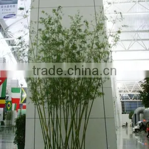 SJWS2015032404 Guangzhou Manufacturer Whole Sell Customized Garden Decoration Artifcial Fake Bamboo Tree thumbnail-6