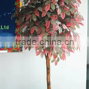 Home Garden Decoration 100cm to 1000cm Height Artificial Indoor Live Plastic Ficus Red With Green Palm Tree EZLS05 1006 thumbnail-6