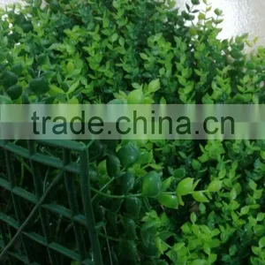Artificial Boxwood Carpet Artificial Grass Carpet for Balcony thumbnail-2