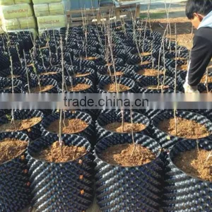 Plastic Root Control Container/pot for Garden Tools thumbnail-1