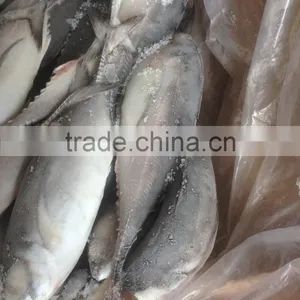 2016 High Quality Seafood Frozen Round Scad thumbnail-1