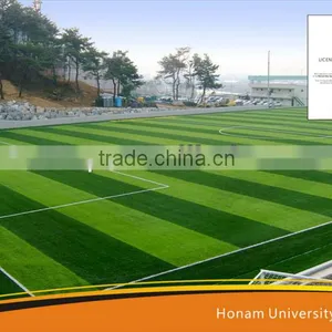 Artificial Grass Project in Asia thumbnail-1