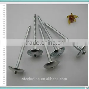 Roofing Nails Umbrella Head/Galvanized Roofing Nails Price/Roofing Nails thumbnail-3