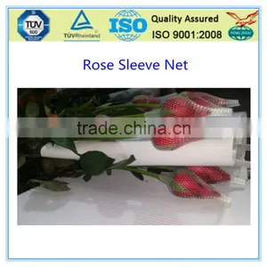 Eco-friendly PE Plastic Net for Bud thumbnail-1