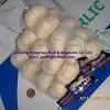 Garlic thumbnail-1