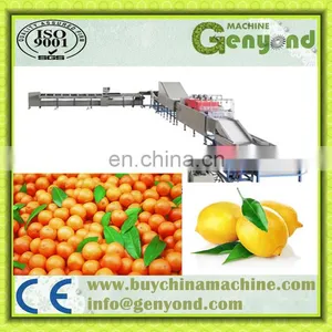 Kumquat/orange/lemon Fruit Washing Waxing Drying Sorting Machine, Fruit Farm Equiment Orange thumbnail-2