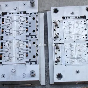 mold (8)