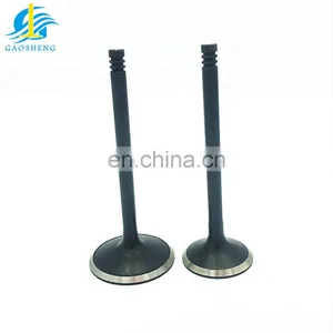 Motor Valve Kits for Robin EH25 EH07 EH64 EH17 EH09 EH72 Custom High Performance Spare Parts Engine Valve thumbnail-5