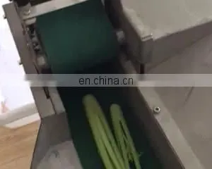 Electric Vegetable Cube Cutting Machine Cut Vegetable Cutting Machines thumbnail-1