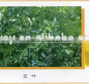 Steamed Distilled Extracted Essential Mugwort Oil/Blumea Oil thumbnail-1